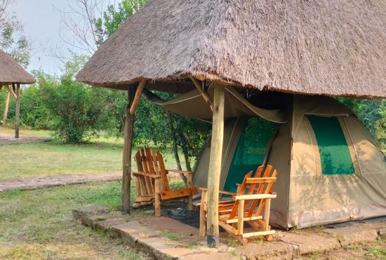 Set-up-Tent-Exterior